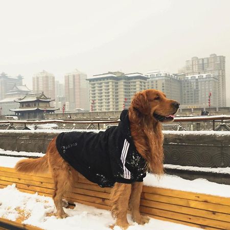 Хостел Jano'S Backpackers Xi'An Сиань Экстерьер фото